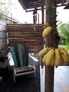 勒穆莱The BlueBamboo的一把香蕉挂在椅子旁边的树上