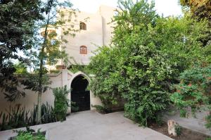 卢克索El Nakhil Hotel的一座带门和树木的房屋的庭院