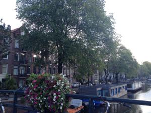 阿姆斯特丹阿姆斯特丹大公寓的相册照片