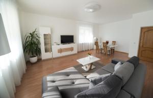 考纳斯Petro delux apartments center的客厅配有沙发和桌子