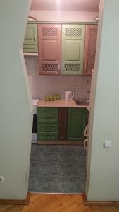 基辅GREEN ROSE的一个带绿色橱柜和水槽的小厨房