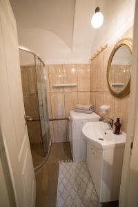 克卢日-纳波卡Colonial ultra center apartment的带淋浴、卫生间和盥洗盆的浴室