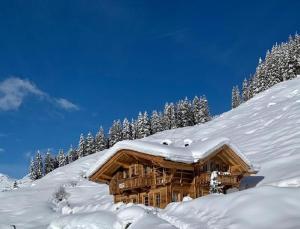 盖洛斯Apartchalet Jörglerhof的小木屋被雪覆盖