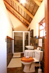 里弗斯代尔Oudebosch Guest Farm的一间带卫生间和水槽的浴室