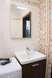 帕尔杜比采Apartment Třída Míru的一间带水槽和镜子的浴室