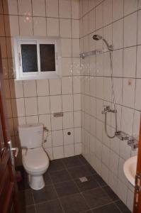 雅温得Appart meublés Yaounde的浴室配有卫生间、淋浴和盥洗盆。