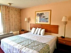 阿拉楚阿Americas Best Value Inn Alachua的酒店客房配有一张带枕头的大床