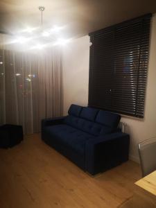 Apartament Przy Galerii的休息区