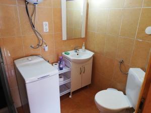 鲍洛通塞迈什Apartment in Balatonszemes 38456的一间带卫生间和水槽的小浴室