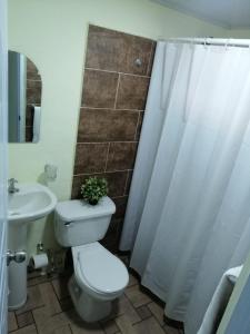 拉维加Hotel Anedi的浴室配有卫生间、盥洗盆和淋浴。