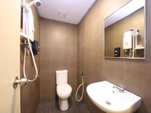 士姑来The Fern Lodge Hotel的一间带卫生间、水槽和镜子的浴室