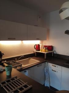 阿维尼翁APPARTEMENT T2 AGROPARC AVIGNON的厨房配有水槽和台面
