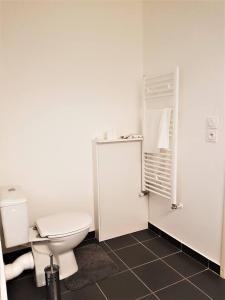 阿维尼翁APPARTEMENT T2 AGROPARC AVIGNON的白色的浴室设有卫生间和淋浴。