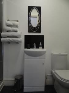 温福德顿德里酒店的一间带水槽、卫生间和镜子的浴室