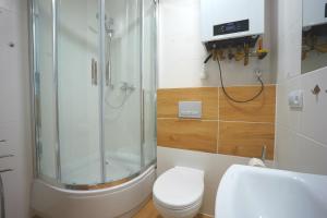 什切青Viking Home: Apartament Joanna的带淋浴、卫生间和盥洗盆的浴室