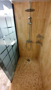 弗勒里莱欧布赖"LE TRAMWAY" Appartement 150m gare des Aubrais的配有瓷砖地板和淋浴头的淋浴