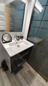 弗勒里莱欧布赖"LE TRAMWAY" Appartement 150m gare des Aubrais的浴室配有白色水槽和淋浴。