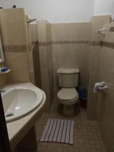 梅里达波萨达德尔天使酒店的一间带卫生间和水槽的浴室