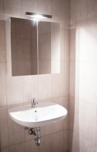 巴特埃尔斯特Hotel - Pension Vesta的浴室设有白色水槽和镜子