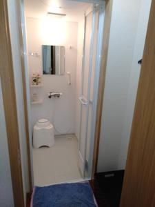 佐贺市嬉野小屋旅馆的带淋浴和卫生间的小浴室