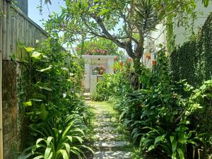 沙努尔Ngetis Home Stay的植物之家的花园路径