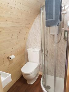 斯特拉西尔Strathyre Camping Pods的一间带卫生间和淋浴的浴室