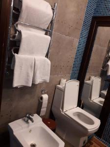 奇姆肯特seoul hotel的浴室配有盥洗盆、卫生间和毛巾。
