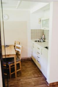 特日内茨Penzion U Haliny的一个带桌子和水槽的小厨房