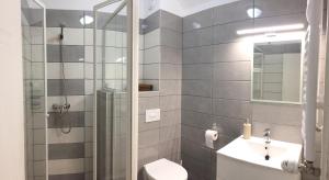 松博特海伊Gerendas Panzió的带淋浴、卫生间和盥洗盆的浴室
