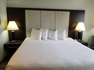 杰克逊维尔温德姆花园酒店 - 杰克逊维尔的一张大白床,位于酒店带两盏灯的房间