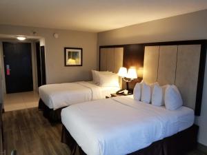 杰克逊维尔温德姆花园酒店 - 杰克逊维尔的酒店客房设有两张床和两盏灯。