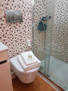 波尔图布拉加斯一室公寓的一间带卫生间和淋浴的浴室