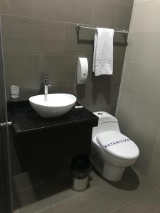 富萨加苏加卡塔蒙酒店的一间带水槽和卫生间的浴室
