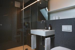 圣加仑多姆酒店的一间带水槽和淋浴的浴室