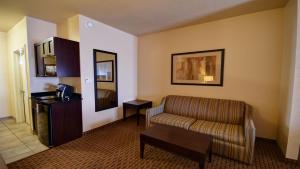 Holiday Inn Express & Suites Del Rio, an IHG Hotel的休息区