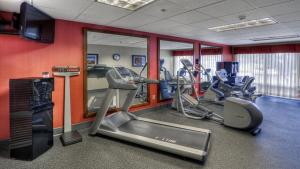 格林维尔格林维尔智选假日酒店的健身房设有心肺功能训练器材和平面电视。