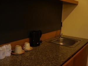 象岛坝安塞考广场酒店及服务式公寓的厨房柜台配有水槽和2个杯子