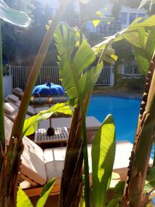 滨海萨纳里夫瑞古莱特农舍旅馆的从一些植物后面可欣赏到游泳池的景色