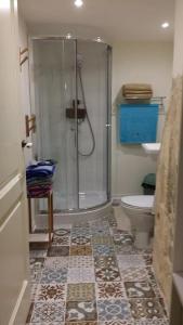 维多利亚Magic in the Heart of Old Gozo (Penthouse)的带淋浴和卫生间的浴室