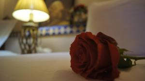 马拉喀什厄尔帕夏酒店的床上坐着红玫瑰