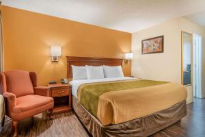 路易斯威尔路易斯维尔市中心伊克诺旅店的配有一张床和一把椅子的酒店客房