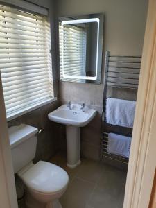 塔洛Wolseley Park guest house的一间带卫生间、水槽和镜子的浴室
