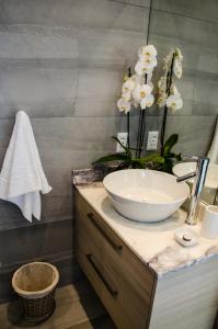 斯泰伦博斯Lavinia Lifestyle的一间带碗水槽和花台的浴室