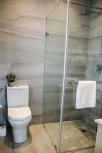 斯泰伦博斯Lavinia Lifestyle的一间带卫生间和淋浴的浴室