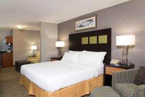 丹维尔丹维尔套房智选假日酒店的酒店客房设有一张大床和一张沙发。