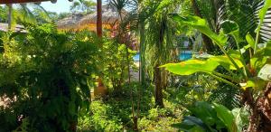 Paraíso古阿卡玛雅山林小屋的一座种植了绿色植物和树木的花园以及一座建筑