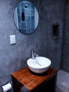 瓜达拉哈拉Hostel Hospedarte Centro的一间带水槽和镜子的浴室