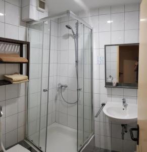 Wasserlosen弗兰肯多汽车旅馆的带淋浴和盥洗盆的浴室