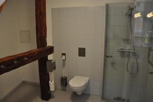 莱宁Zentrum Kloster Lehnin的一间带卫生间和淋浴的浴室