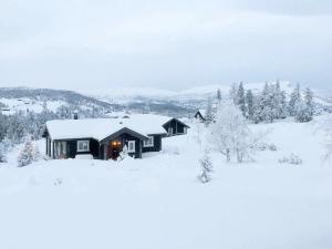 Svingvoll6 person holiday home in Svingvoll的雪中小屋,有雪覆盖的树木